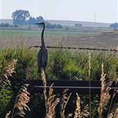 20450 weld county 21