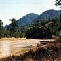 Colorado River near Pumphouse