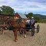 Wild Mountain Ranch
