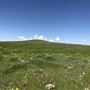 Large Acreage of Unobstructed Prairie Views; Clouds, Sunrise and Sunsets; Wildlife and Wildflowers