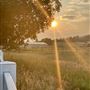 8.5 acre Ranch/Farmhouse close to everything with 5 horses