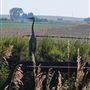 20450 weld county 21