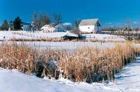 Littleton