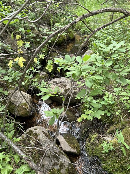 Location Image 3