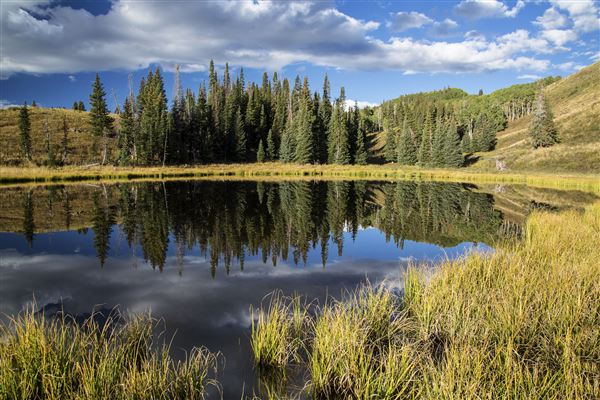 Castle Peak Area