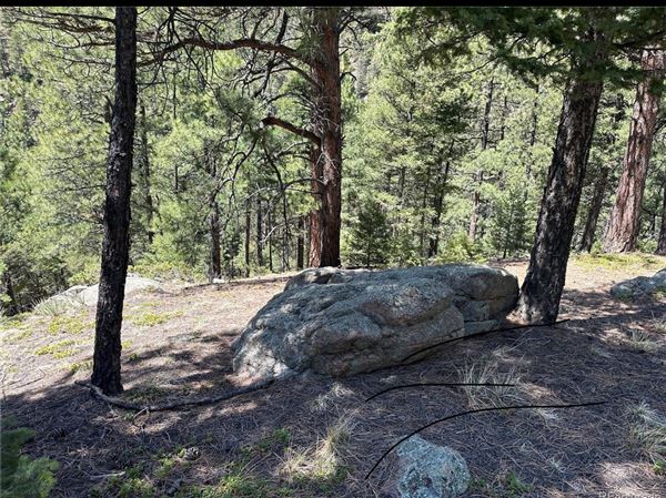 Location Image 3