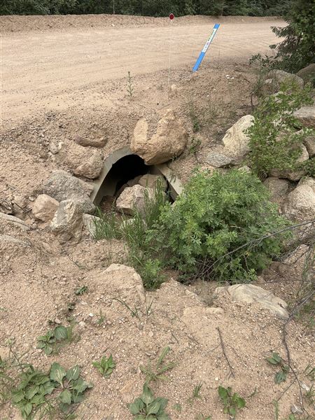 Location Image 4