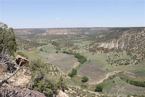 Chancellor Ranch