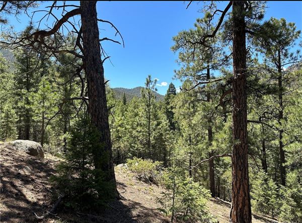 Location Image 4