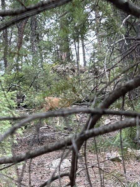 Location Image 5