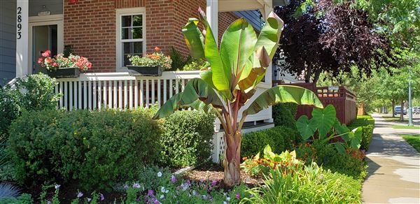 Location Image 2