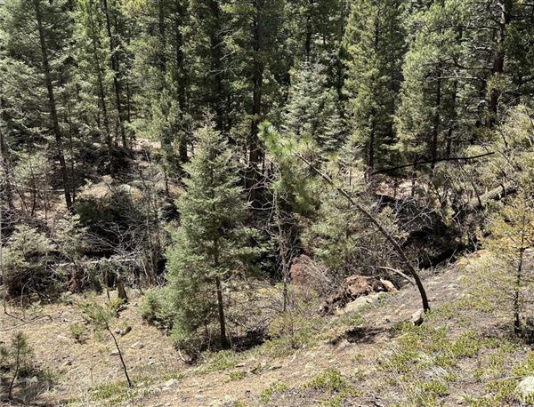 Location Image 5
