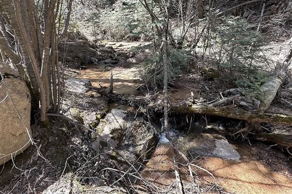 Location Image 2