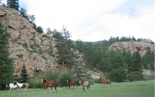 Location Image 3