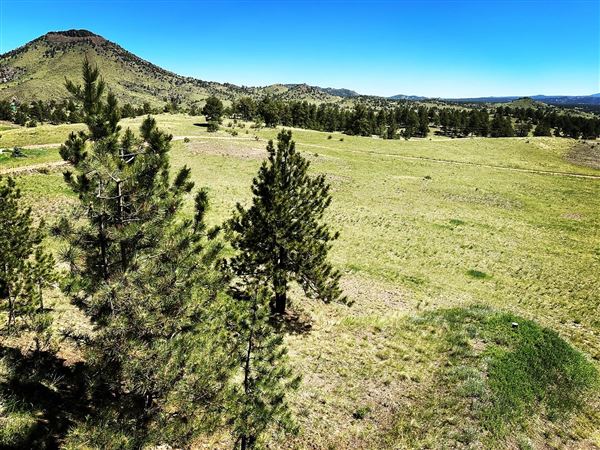 Location Image 2