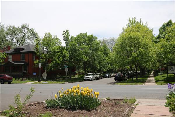 17th and Vine - City West Park