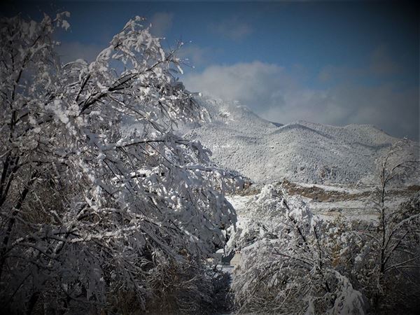Location Image 4