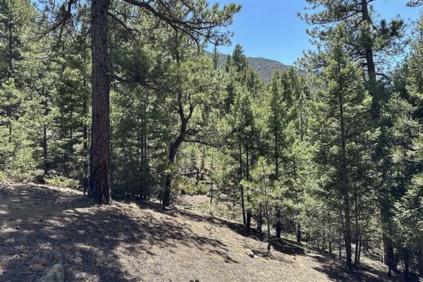 Location Image 4