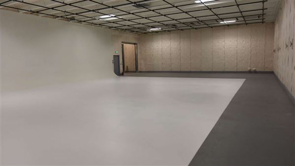 Lighting Services, Inc.