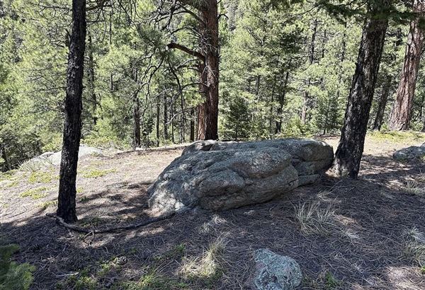 Location Image 5