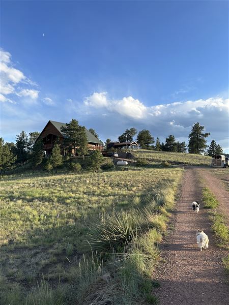 Location Image 5